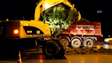 Denizli’de çok sayıda ağaç büyükşehir belediyesinin iş makineleriyle söküldü