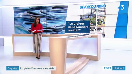Enquête : la piste d'un violeur en série à Pont-sur-Sambre