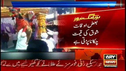 Groom fall from camel