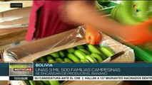 Bolivia incrementa sus exportaciones de banano a países vecinos