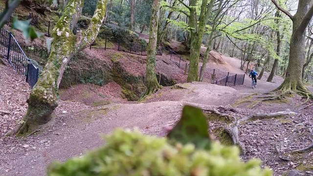 Quiso demostrar sus dotes como ciclista de montaña y terminó empotrado en un árbol