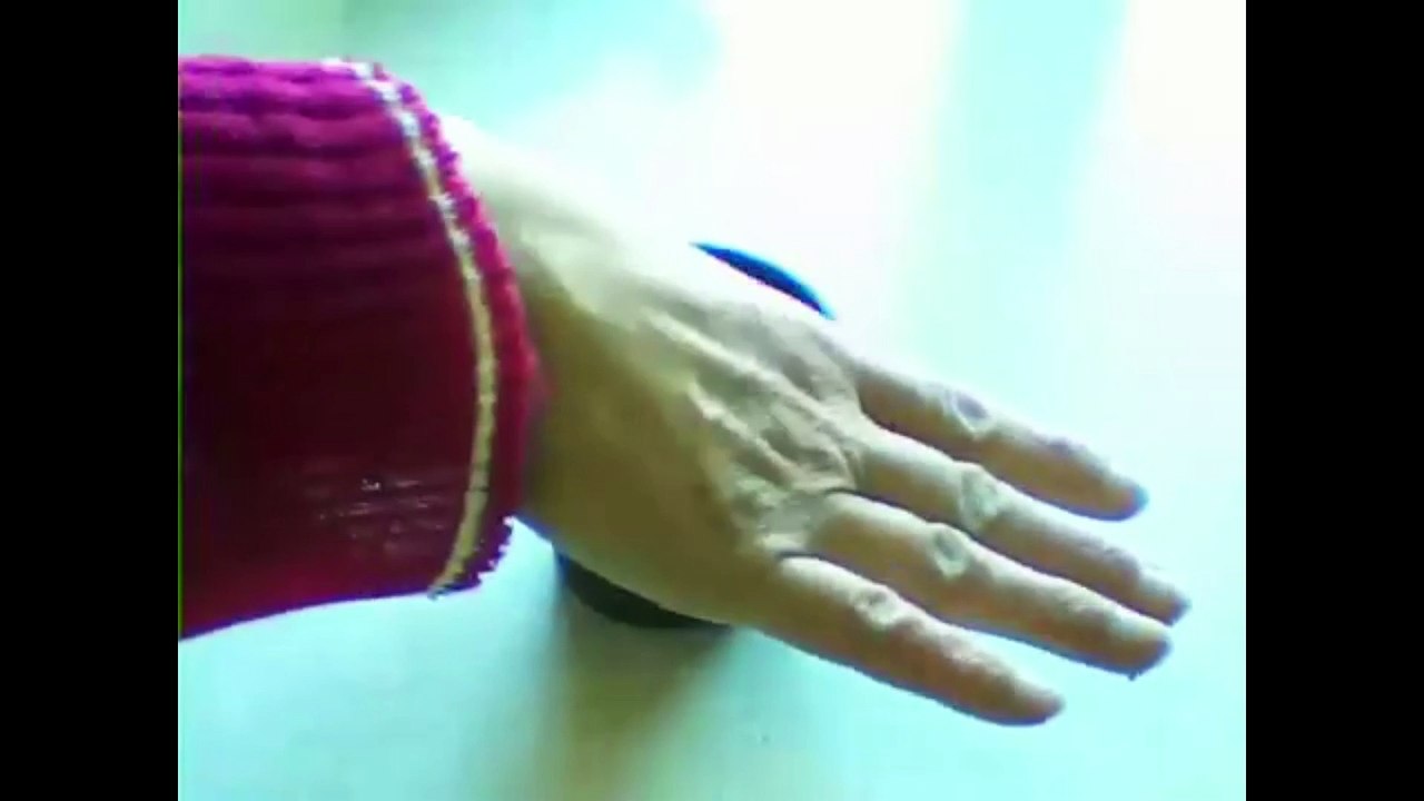 Kater Tobi bei der Aussaat