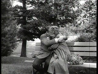 Alle meine Tiere - Die Kündigung