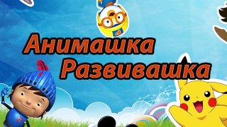 Masha And The Bear Colors For Children To Learn With Colors Bear and Soccer Balls - WOODEN HAMMER