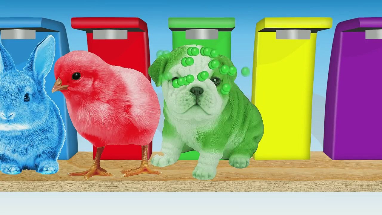 Learn Colors With Farm Animals for Children | Colorful Farm Animals and Colors for Kids