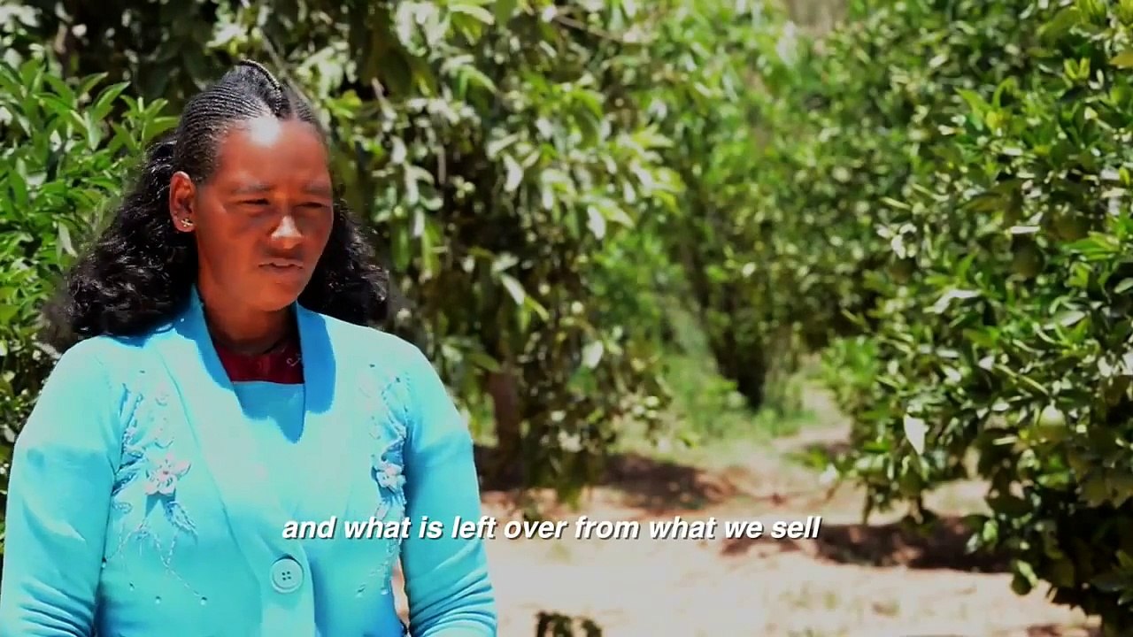 Landscape Restoration in Ethiopia Brings Watershed to Life | ICRAF