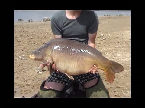 Pêche a la carpe, la Passion des Grands Lacs numéro 7