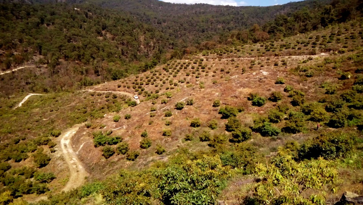 Rancho Aguacatero en sultepec Méx.
