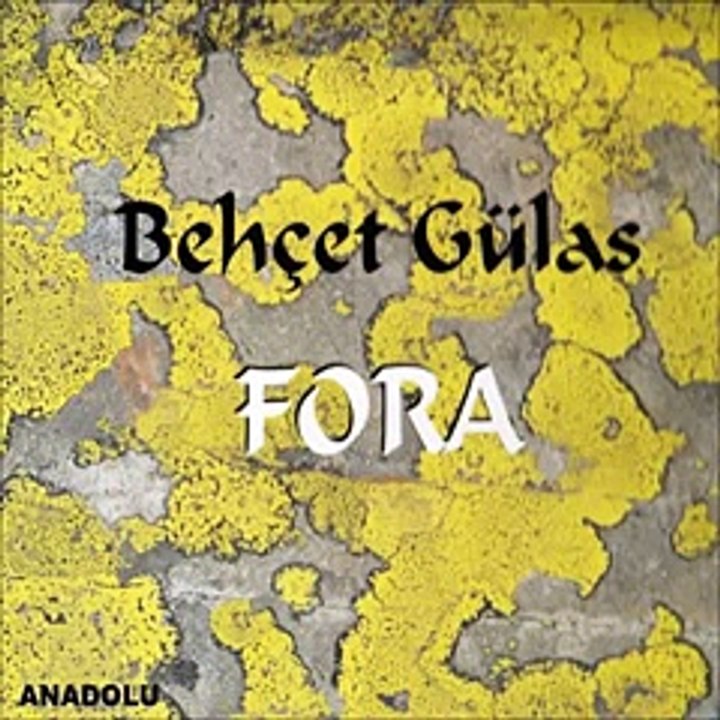 Behçet Gülas  - Vakit
