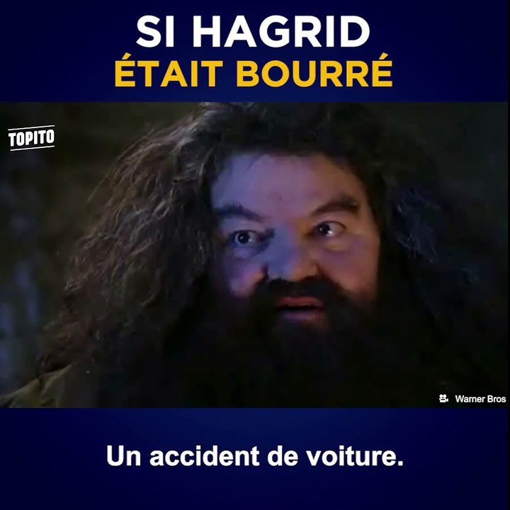Tu es un sorcier Harry ! Un quoi ?