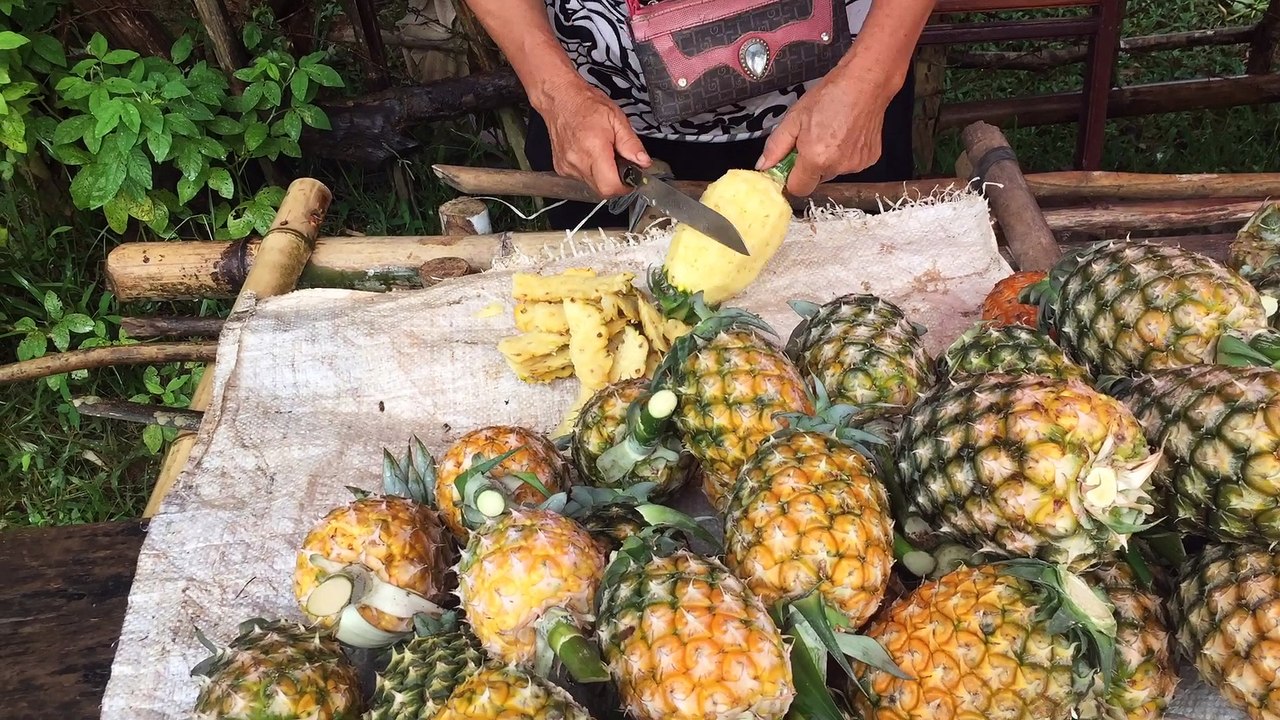 Laos - The road less traveled through my Epic Road Trip