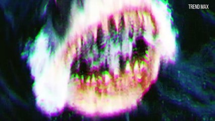 TOP 10 BIGGEST SHARKS IN THE WORLD