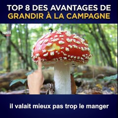 Comme quoi, c'est chouette d'être un·e bouseux·se !