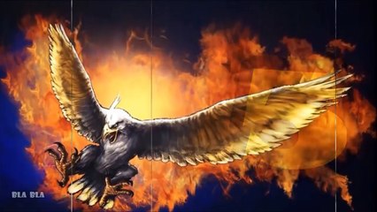 أقوى 8 نسور صورتها الكاميرا ! مشاهد تحبس الأنفاس !!