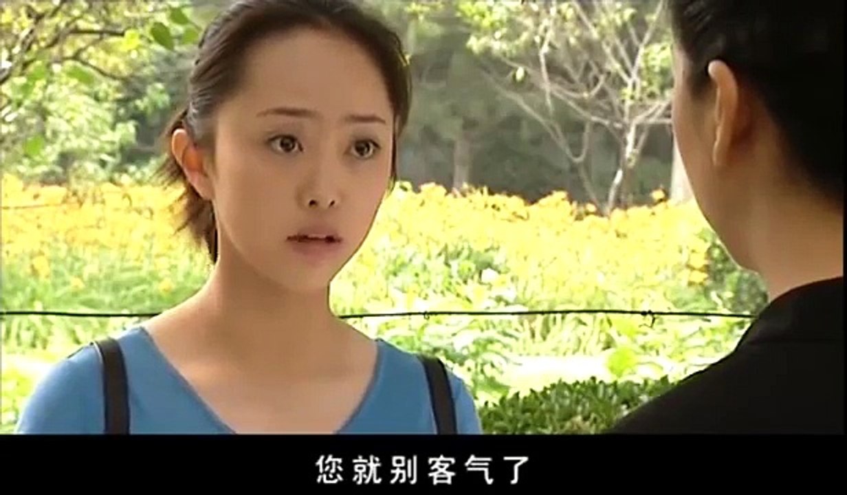 爱情剧《让爱做主》16主演 王志文 江珊 徐静蕾 王学兵 朱娜  段奕宏