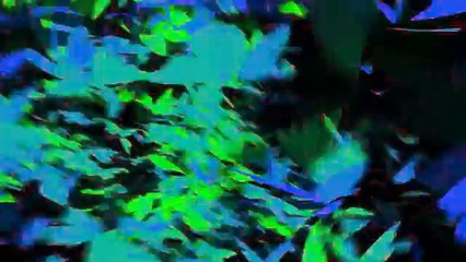 LAVTv Studio - Unindo Brasileiros no Exterior. Um dia de cada vez!   Motion Logo 11