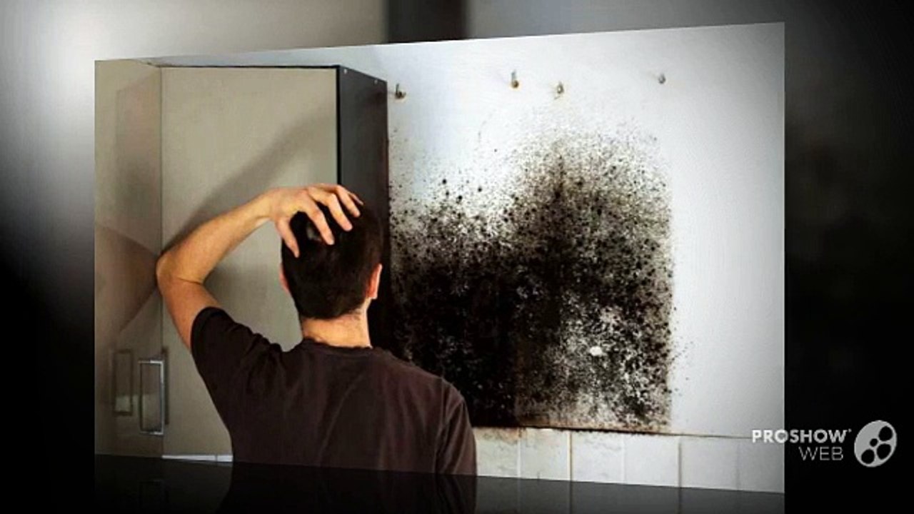 Consequences of Mold Growth in home and Tips for Mold Removal