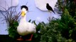 DuckTales Theme Song With Real Ducks _ Oh My Disney IRL