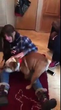 Gros kiff d'un chien sur la jambe de cette femme !