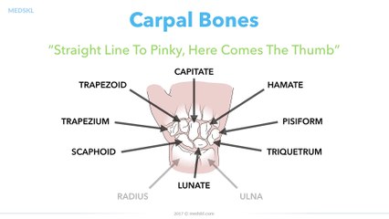 Orthopedics - Hand andor Wrist Injuries