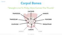 Orthopedics - Hand andor Wrist Injuries