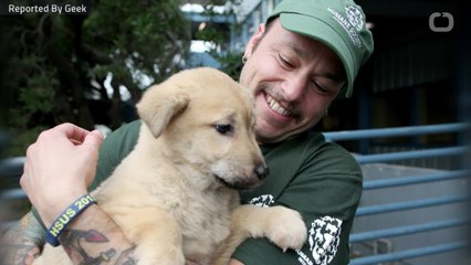 Copy of Humans Have Cared For Dogs Basically Forever