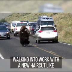 New year, new 'do! ‍♀️‍♂️Check out some amazing makeovers that could inspire you to try a new look: