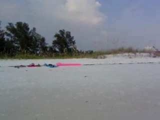 Anna Maria Island 040