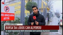 Bursa'da lodos can alıyordu