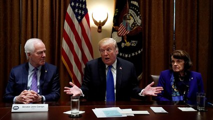 Etats-Unis : Trump pour interdire la vente d'armes aux moins de 21 ans