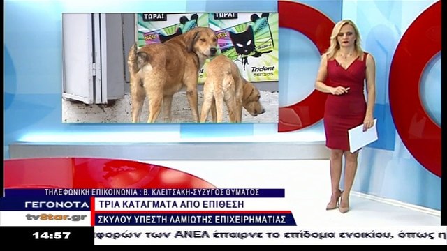 3 κατάγματα σε λαμιώτη επιχειρηματία μετά από επίθεση σκύλου