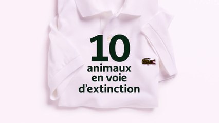 Sauvez nos espèces avec LACOSTE