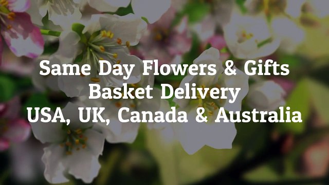 Worldwide Send Flowers For Same Day Delivery - The Florist Hub