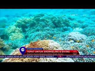 Pesona Nitang Hahai Super Kece  NET 12