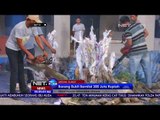 Pemusnahan Tanaman Sitaan Bernilai 300 Juta Rupiah  NET 24