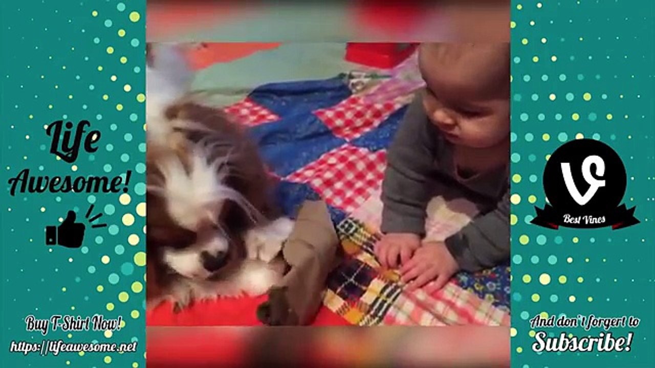 Funny Kids Videos by Life Awesome