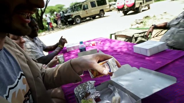 Самый высокий вулкан Африки. Спустили на носилках. Гоняем зебр