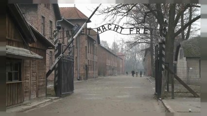 Pologne : la loi sur la Shoah en vigueur