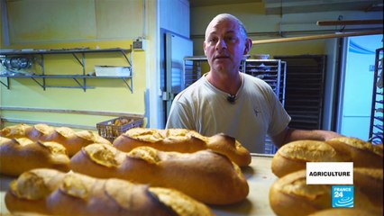 Le pain en circuit-court de Lons-le-Saunier