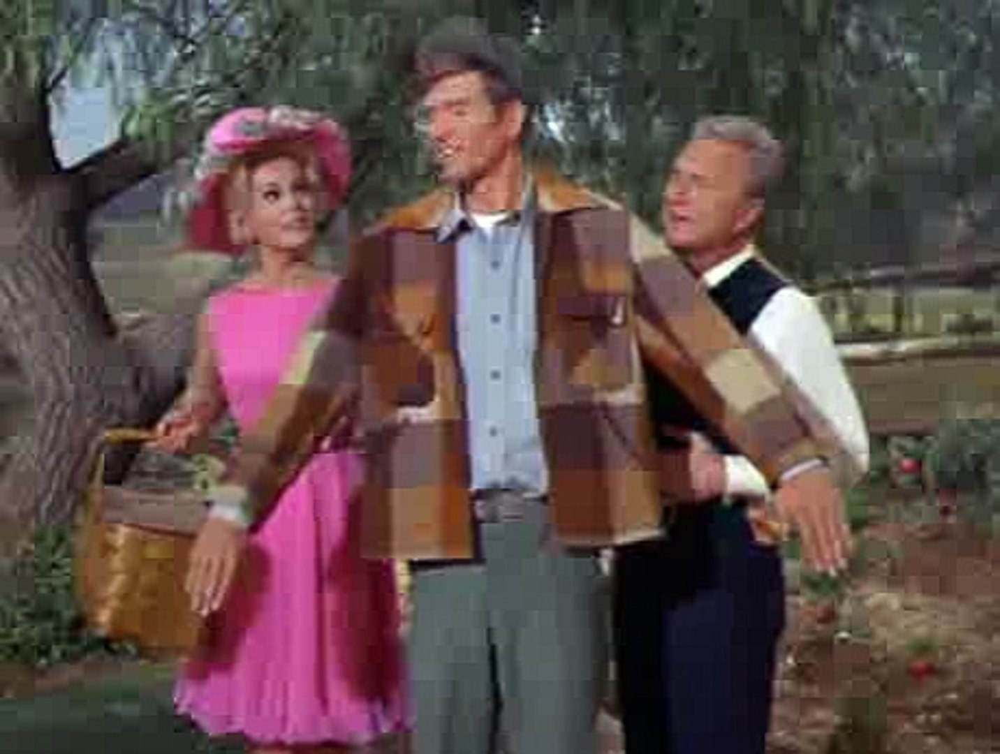 Green Acres S02e25 The Saucer, image size:1432x1080