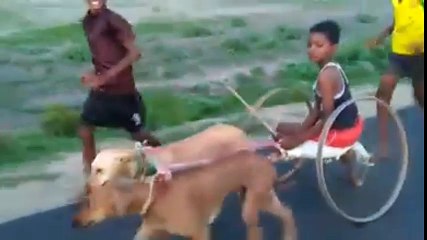 Funny and amazing peoples and kids