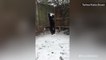 This cat trying to catch snowballs may be the best thing you see all day