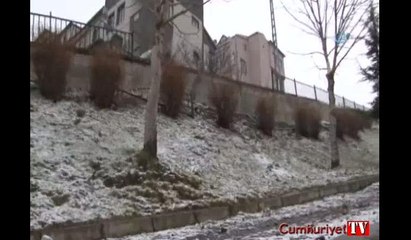 Kamyonet parka düştü: 2’si çocuk 3 yaralı