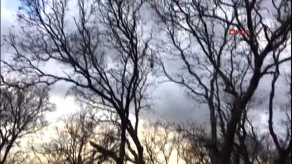 Afrin Kırsalında Çatışma Şehit ve Yaralılar Var