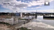 Flooding in Balkans causes major losses to livestock and crops