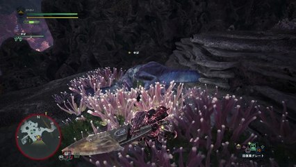 モンスターハンター：ワールド_20180301232600