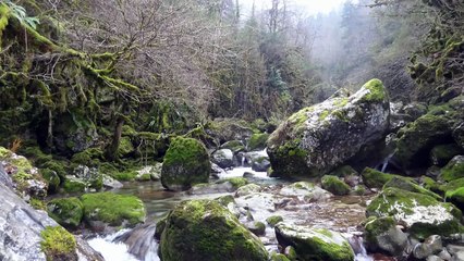 Ouverture truite 2017