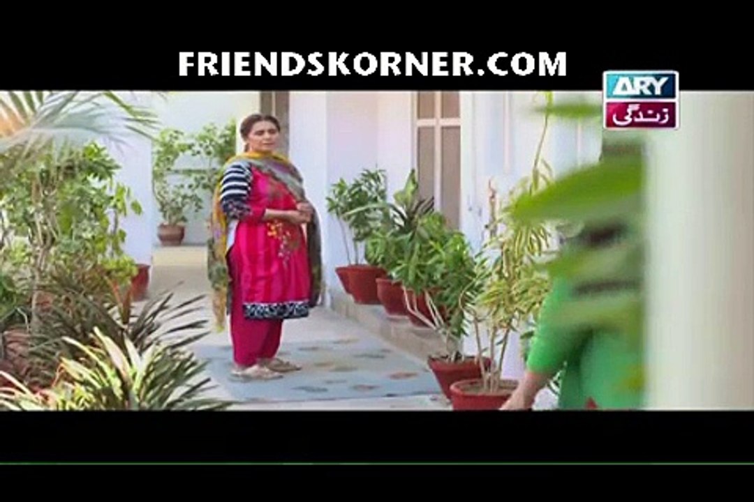 Haya Ke Rang Episode 247