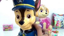 Nick Jr. Paw Patrol Coin Piggy Banks with Chase, Skye, Mashems, Toy Surprises / TUYC