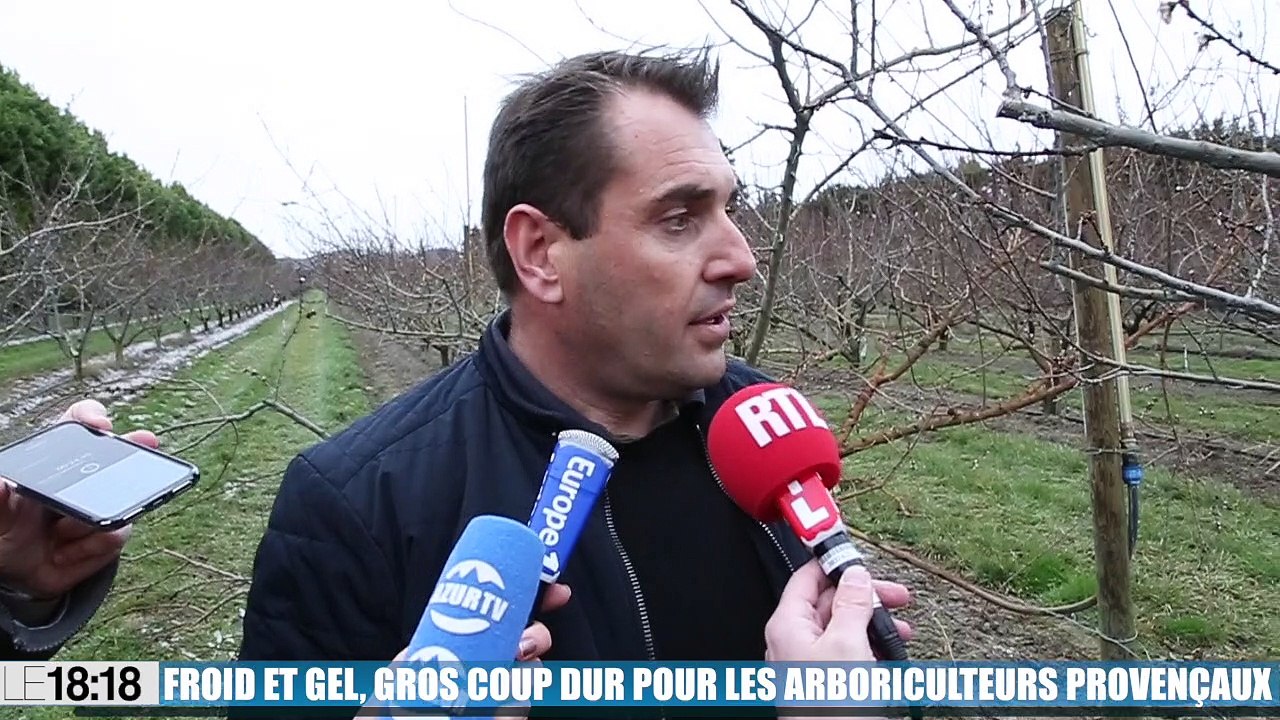Dans le nord des Bouches-du-Rhône, le gel met en péril la filière arboricole